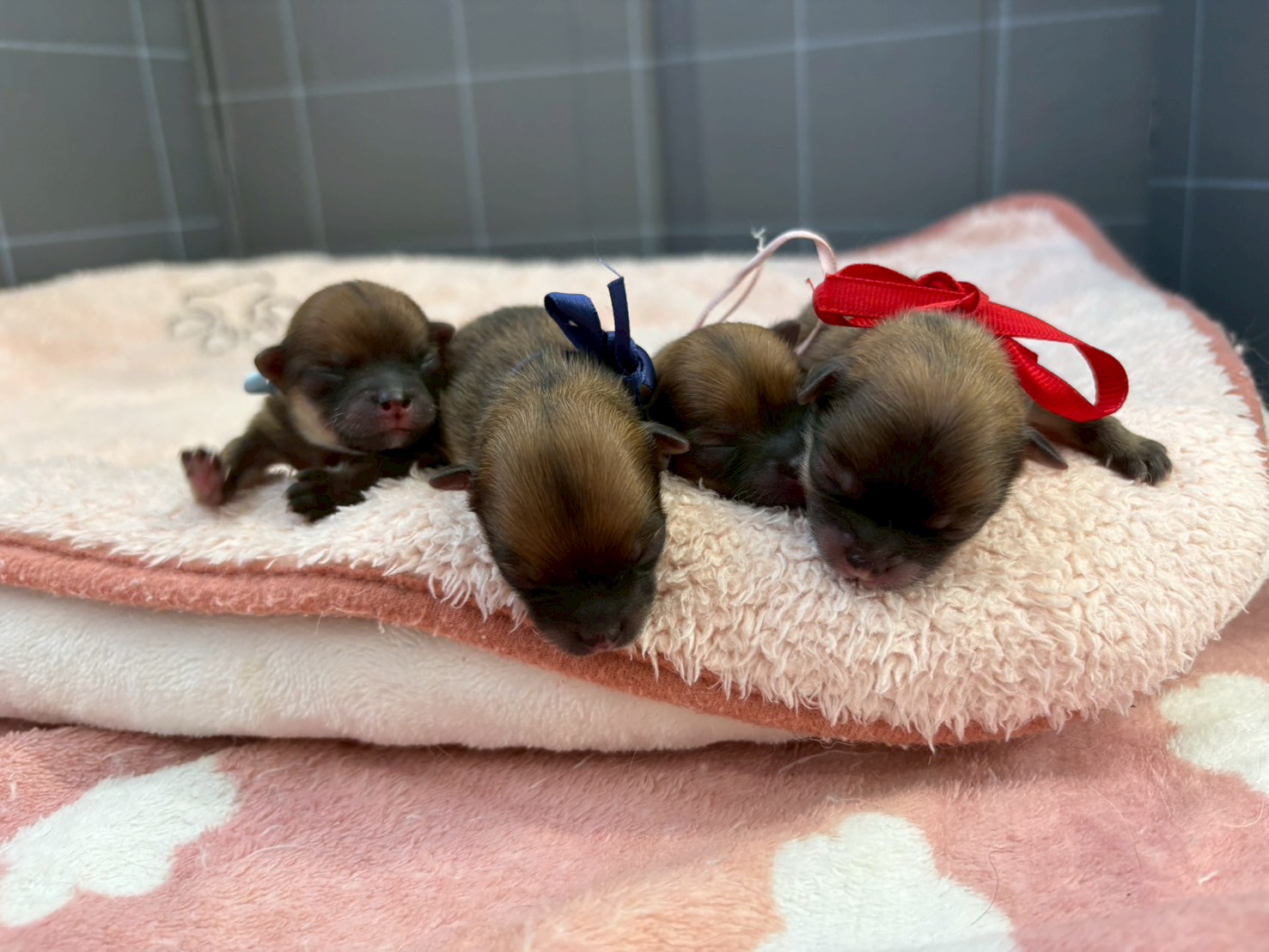 赤ちゃん写真1-3
