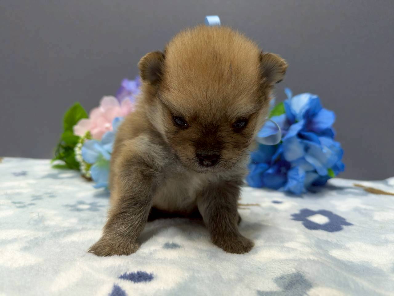 赤ちゃん写真2-1