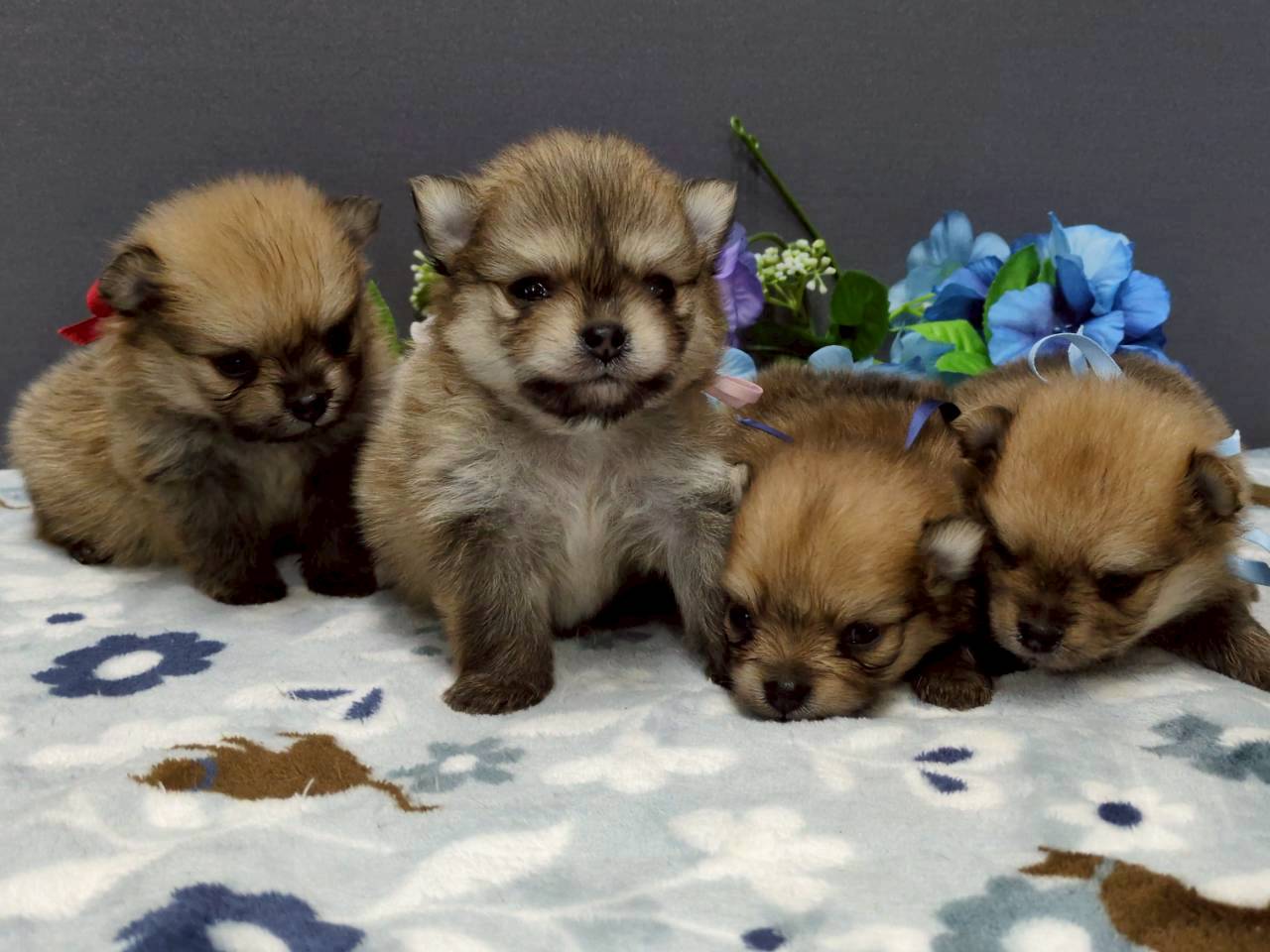 赤ちゃん写真2-3