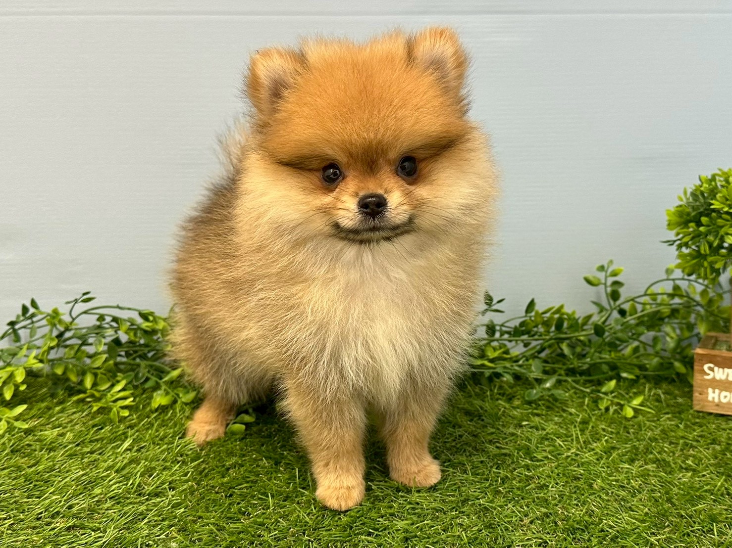 赤ちゃん写真3-1