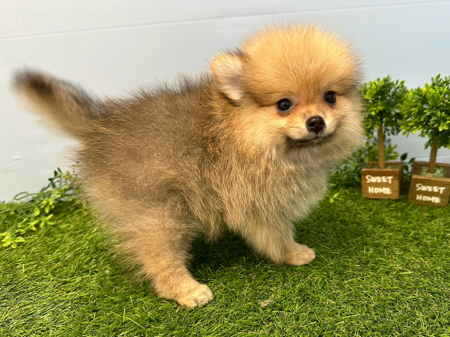 赤ちゃん写真3-2