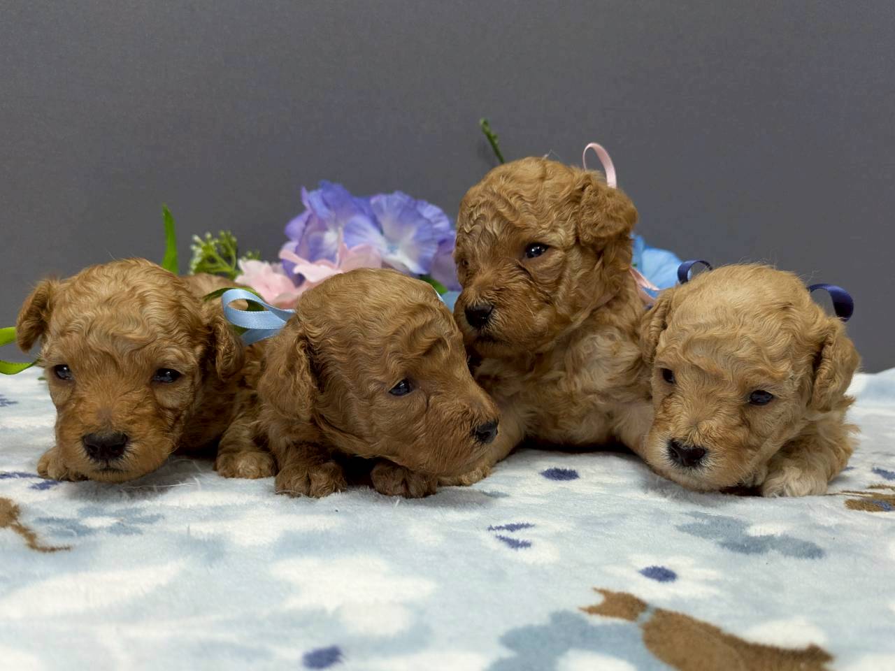 赤ちゃん写真2-3