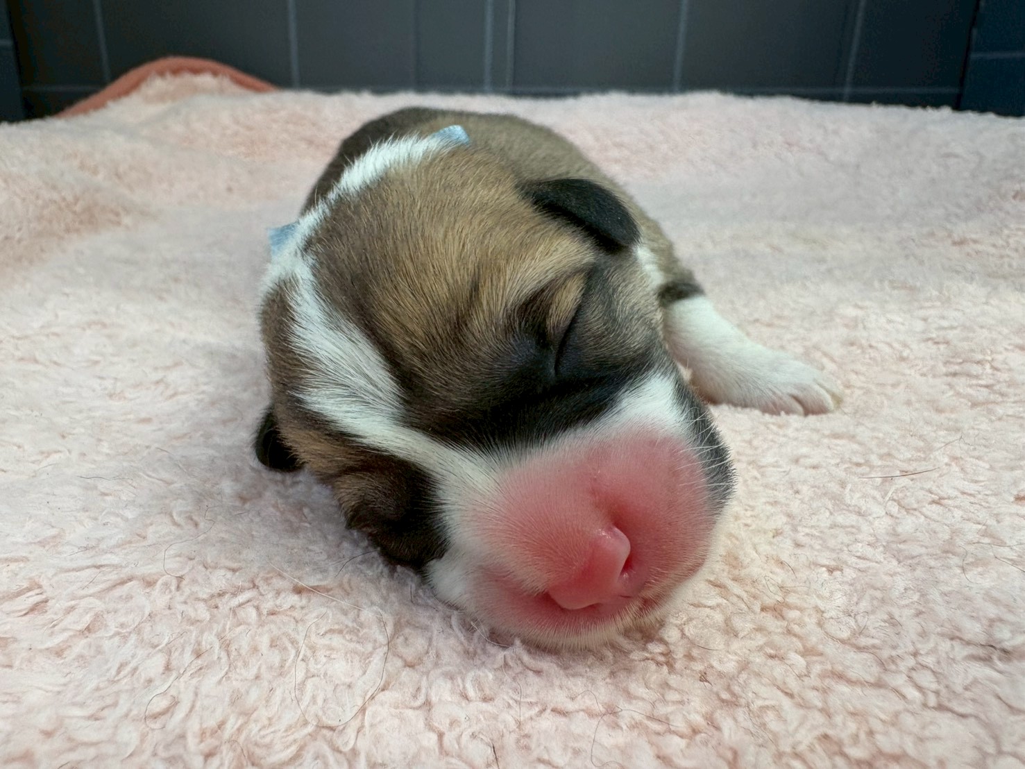 赤ちゃん写真1-1