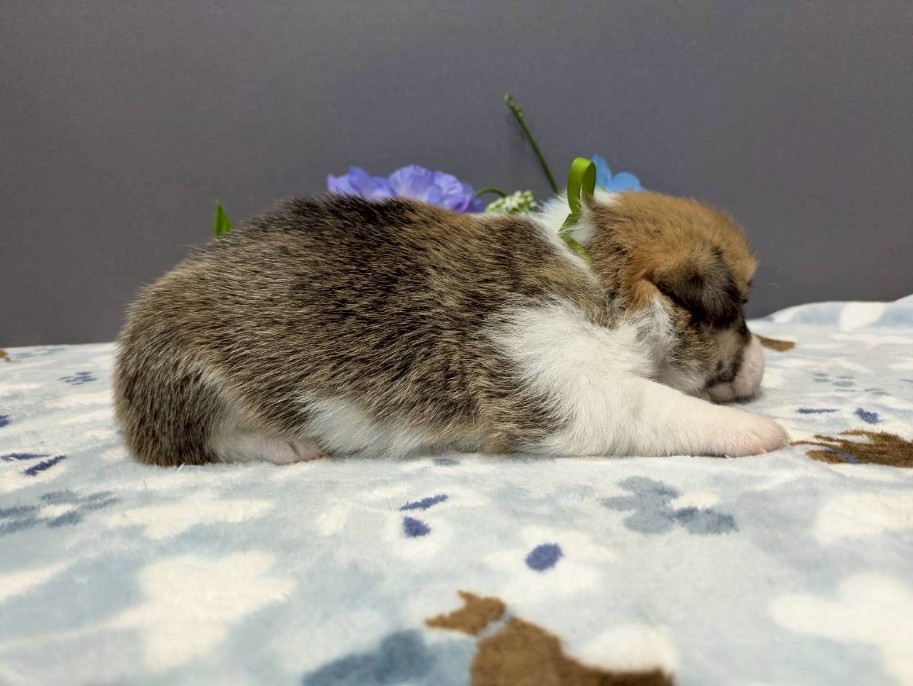 赤ちゃん写真2-2
