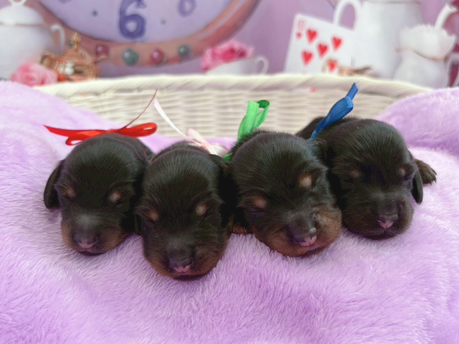 赤ちゃん写真1-3