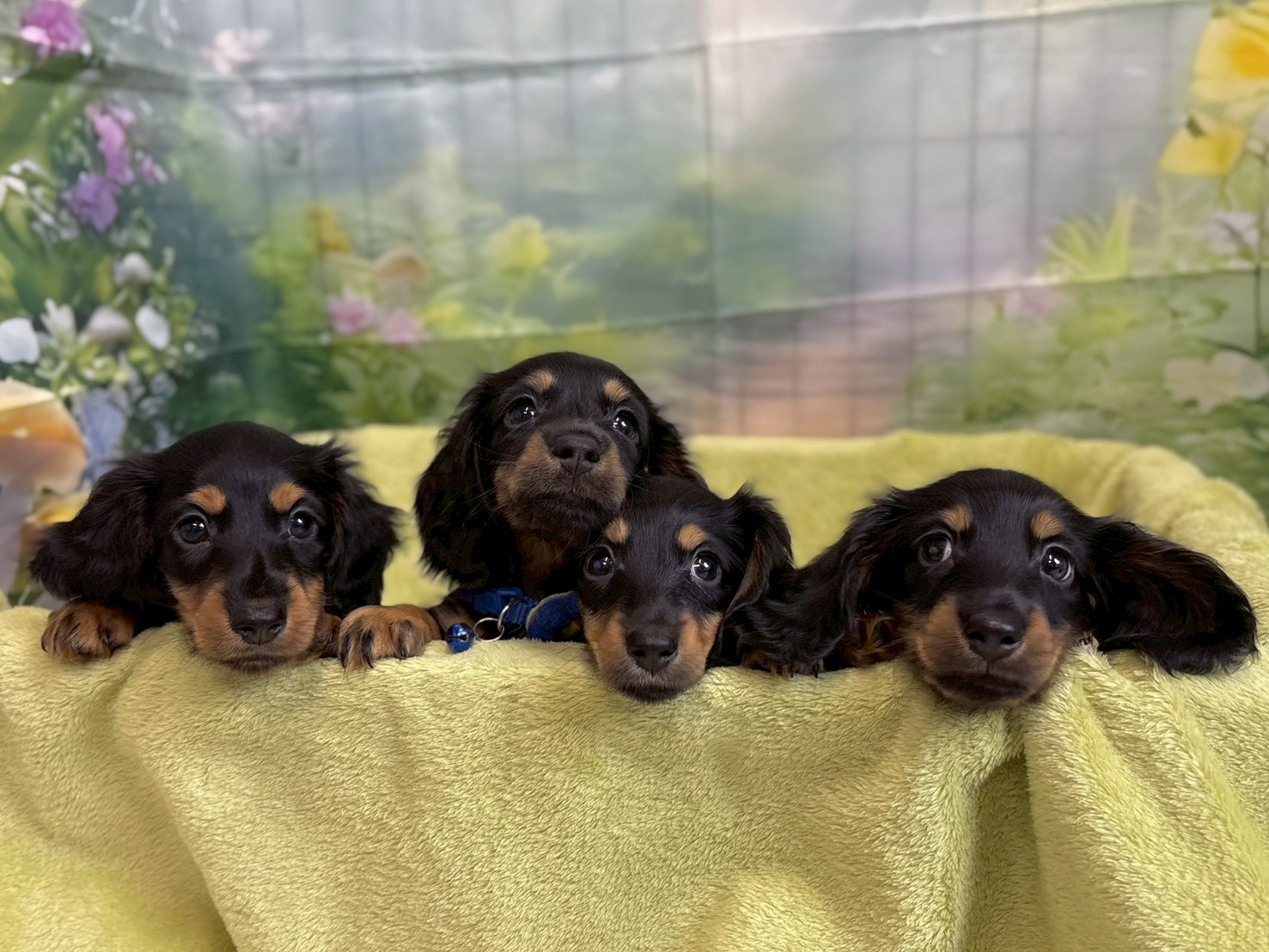 赤ちゃん写真3-3
