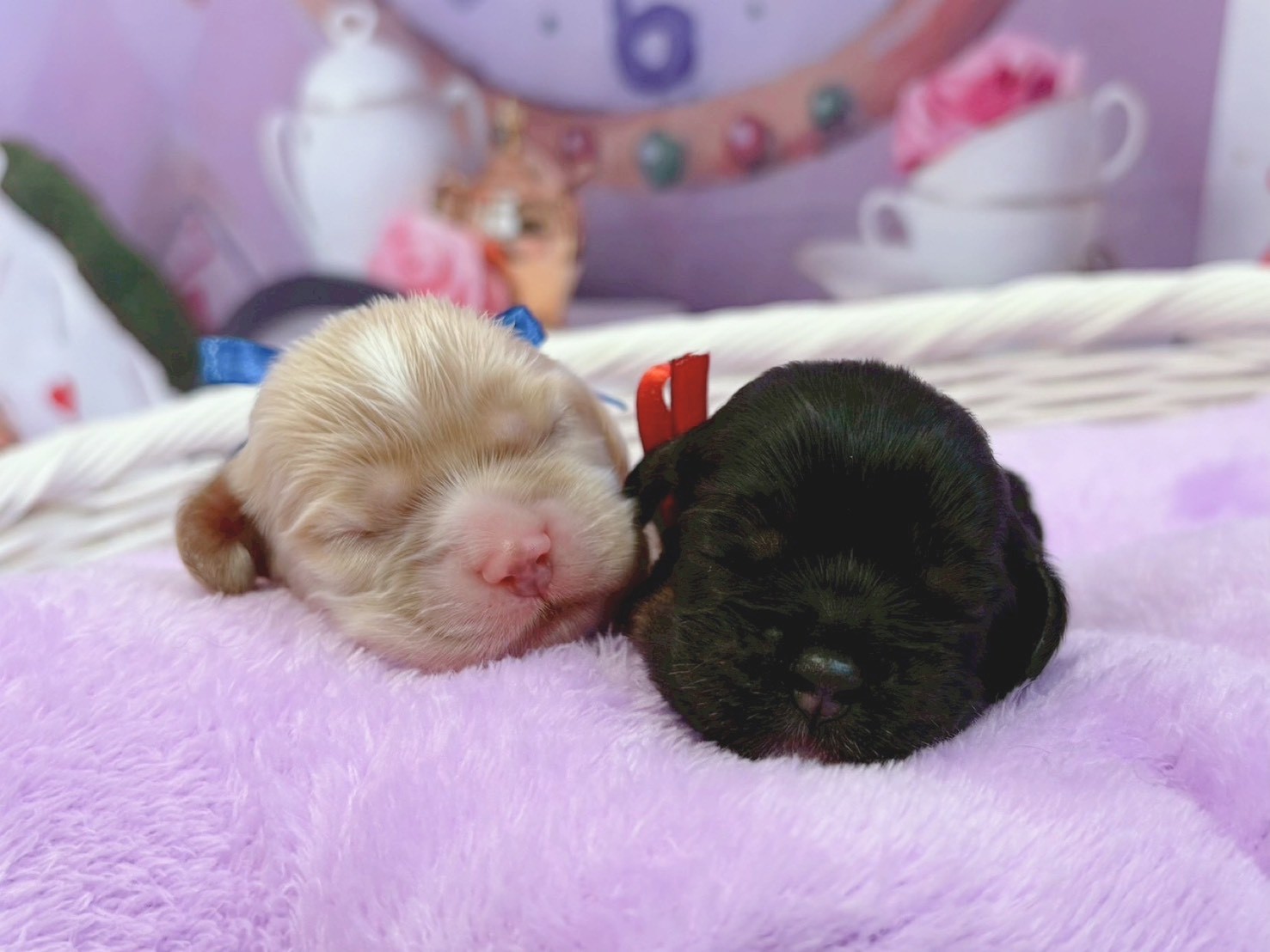 赤ちゃん写真1-3