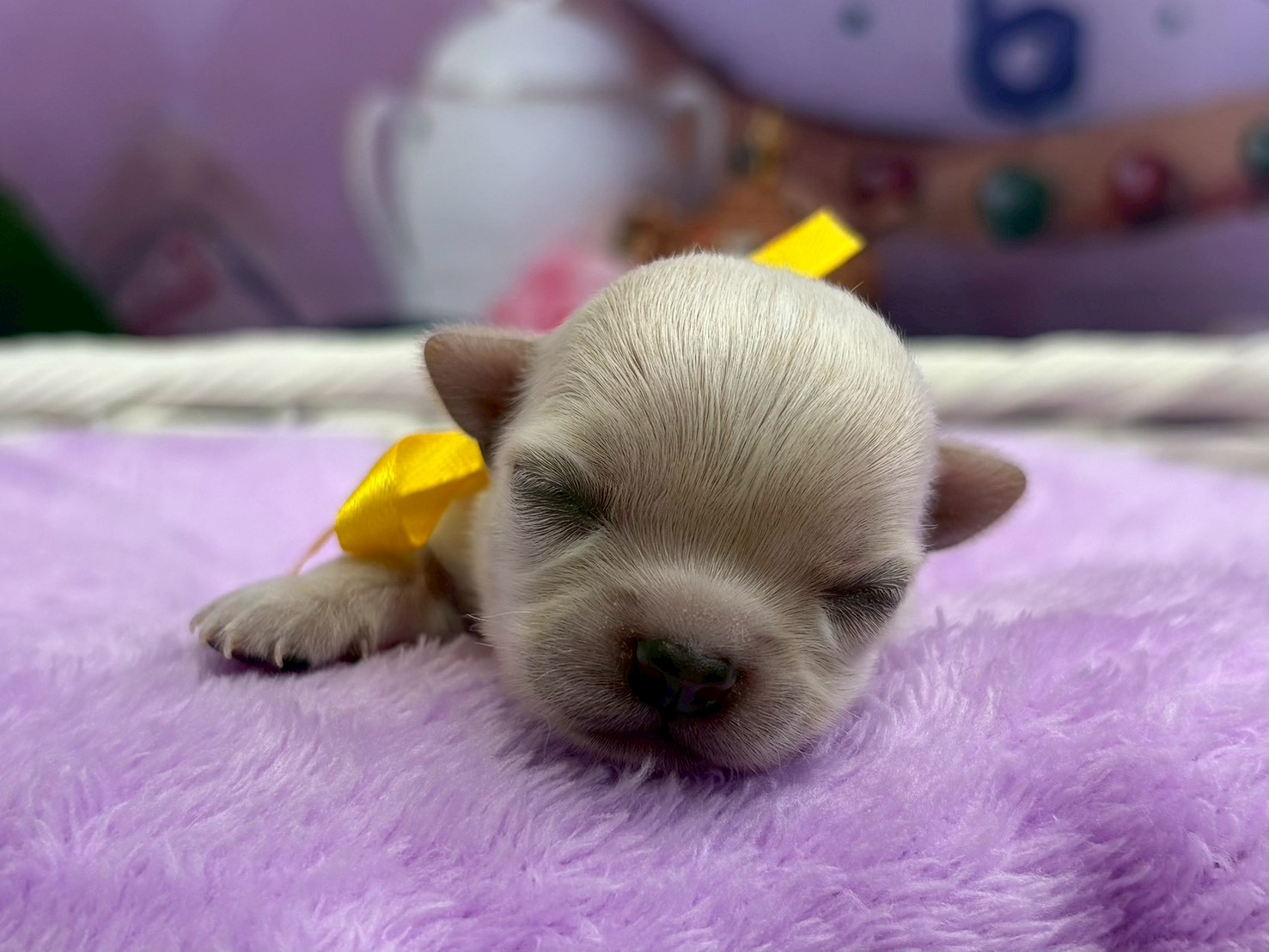 赤ちゃん写真1-1