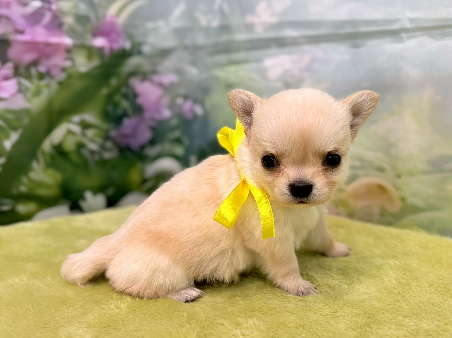 赤ちゃん写真2-2