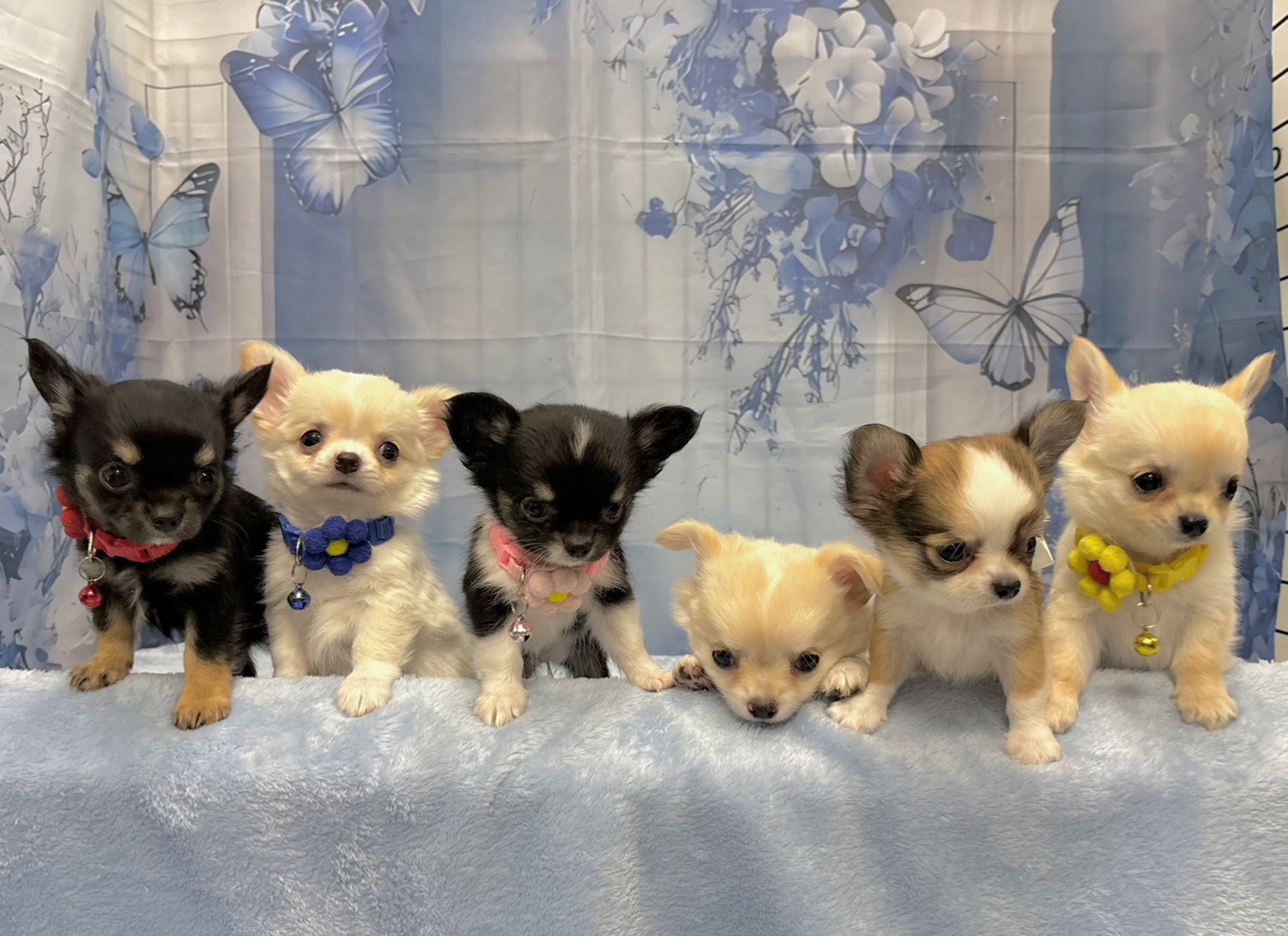 赤ちゃん写真3-3