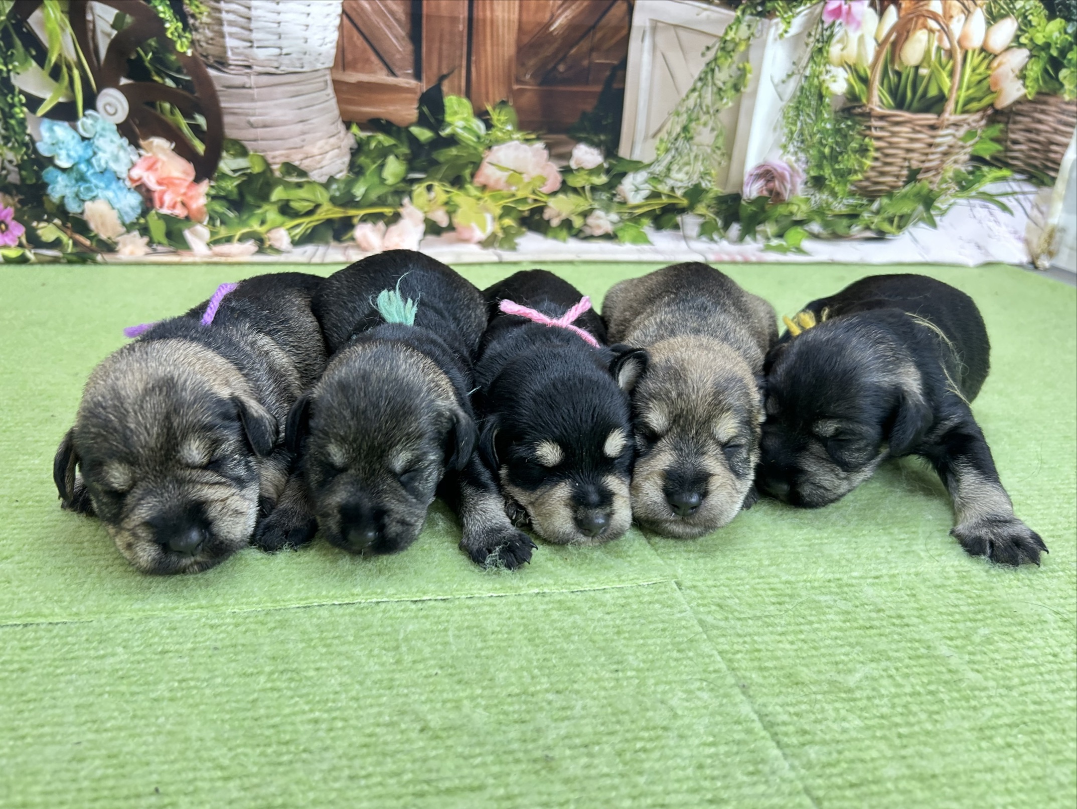 赤ちゃん写真1-3