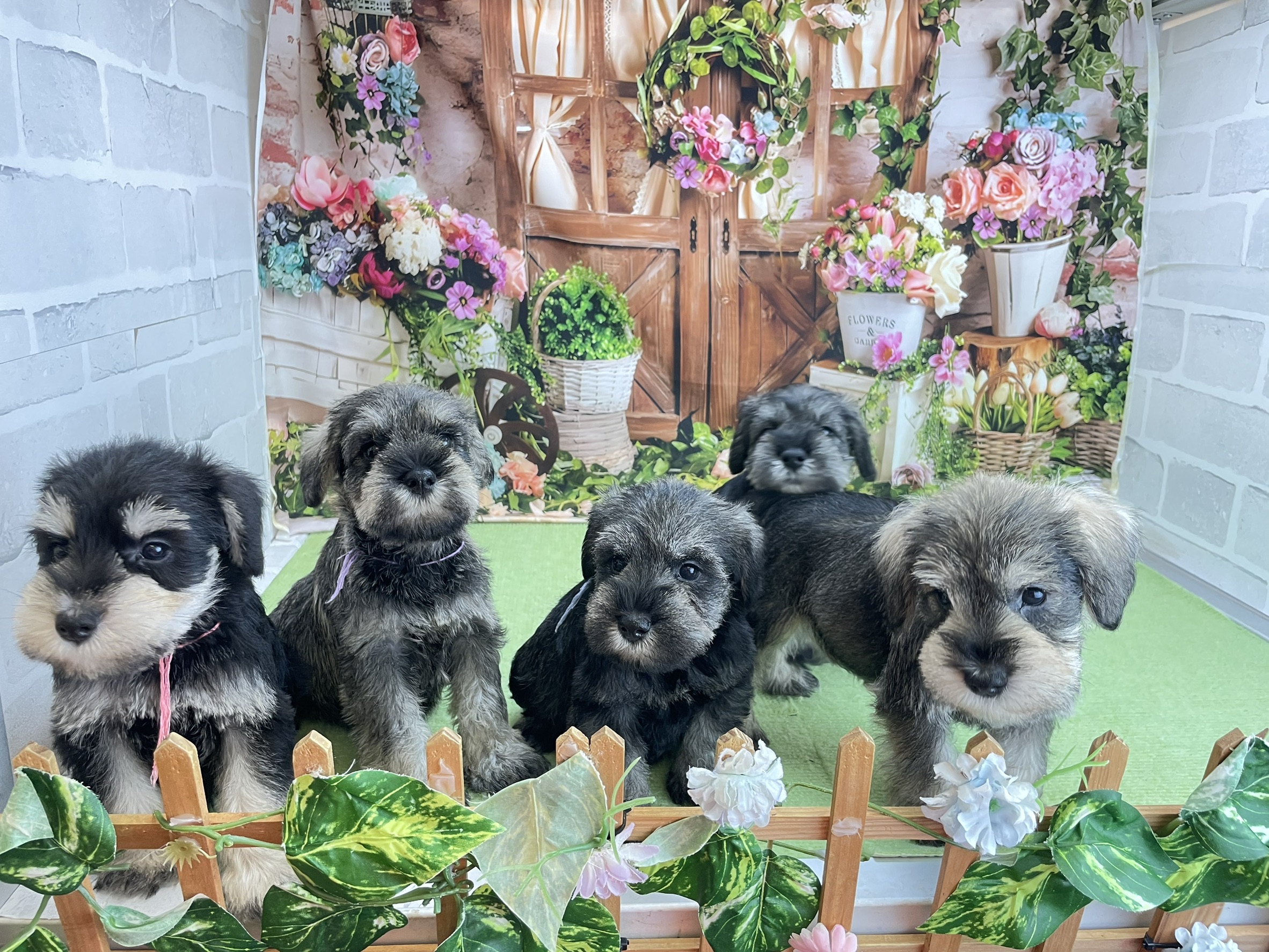 赤ちゃん写真2-3
