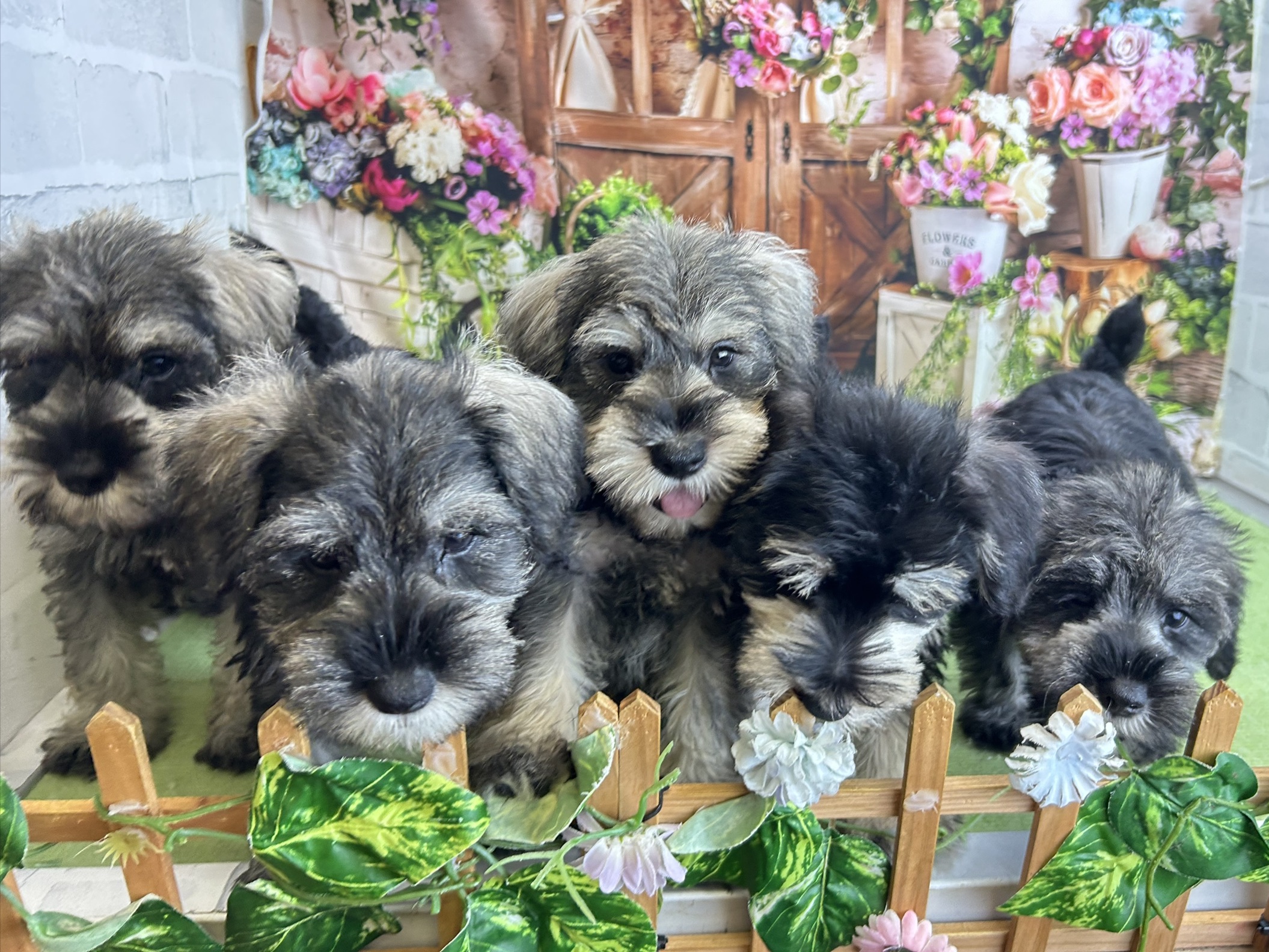 赤ちゃん写真3-3