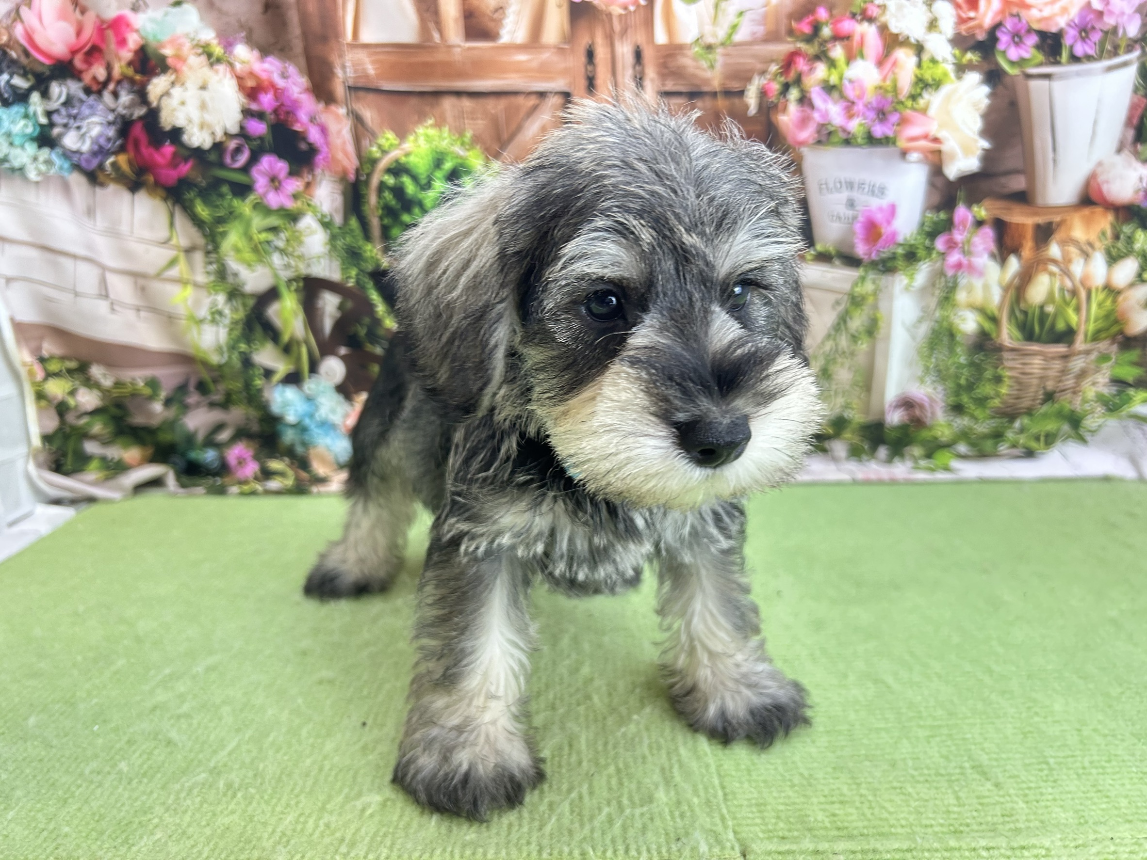 赤ちゃん写真3-2