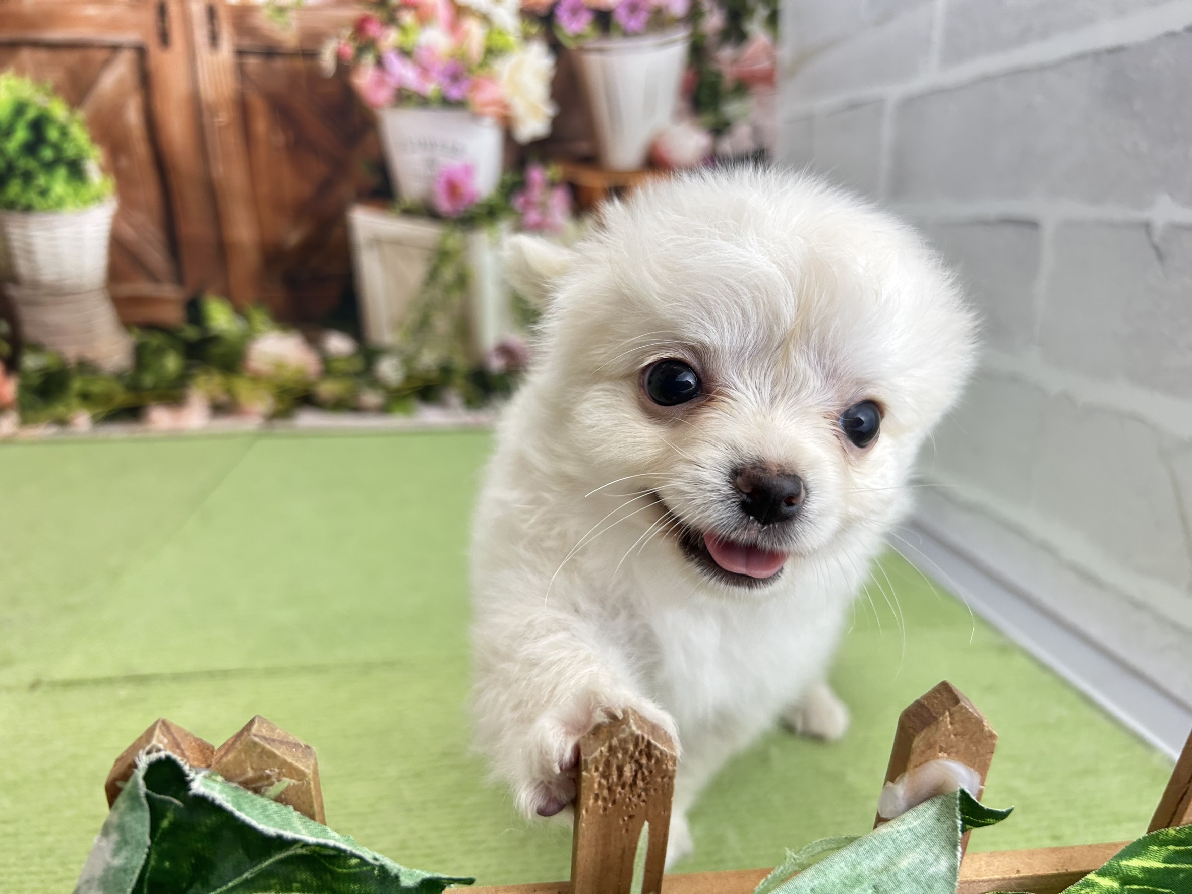 赤ちゃん写真3-1