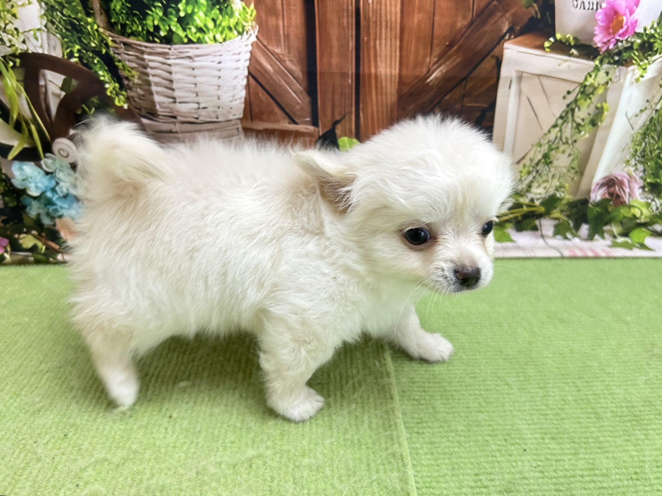 赤ちゃん写真3-2