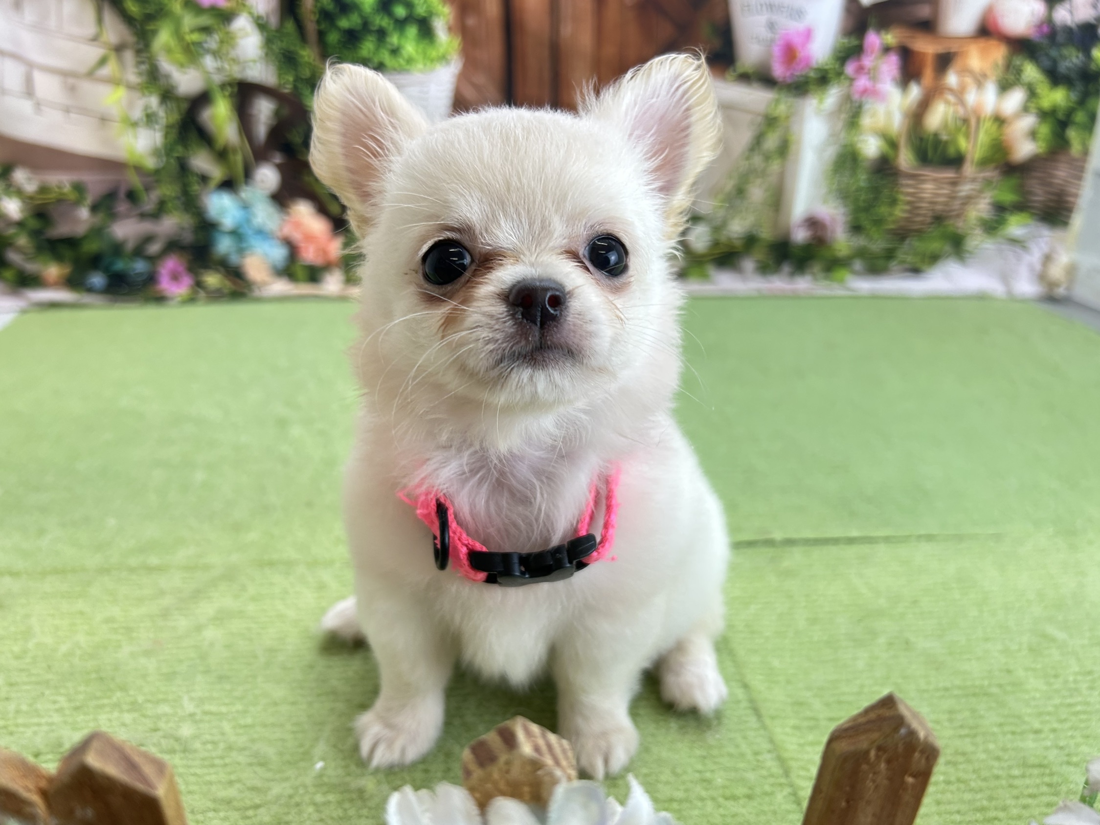 赤ちゃん写真3-1