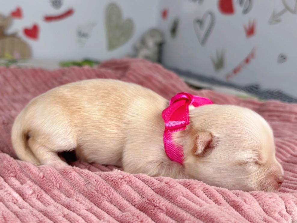 赤ちゃん写真1-2