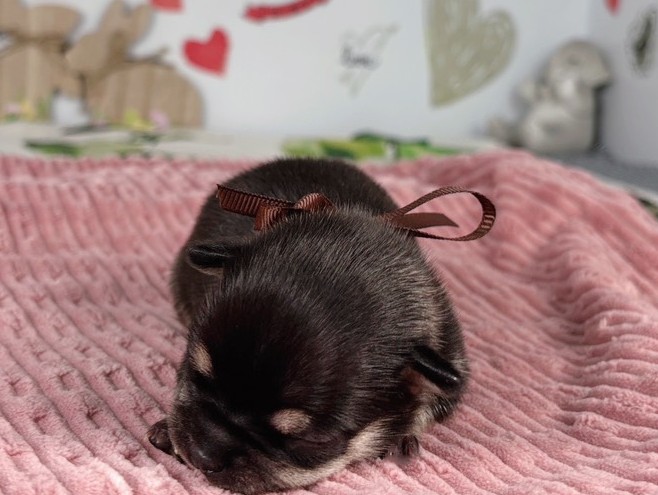 赤ちゃん写真1-1