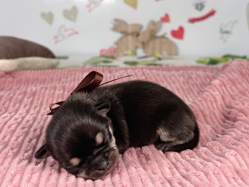 赤ちゃん写真1-2