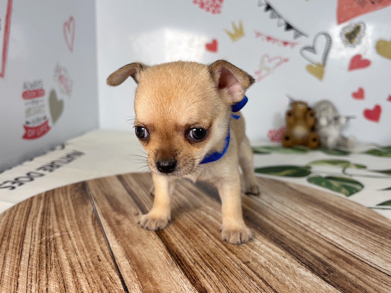 赤ちゃん写真2-1
