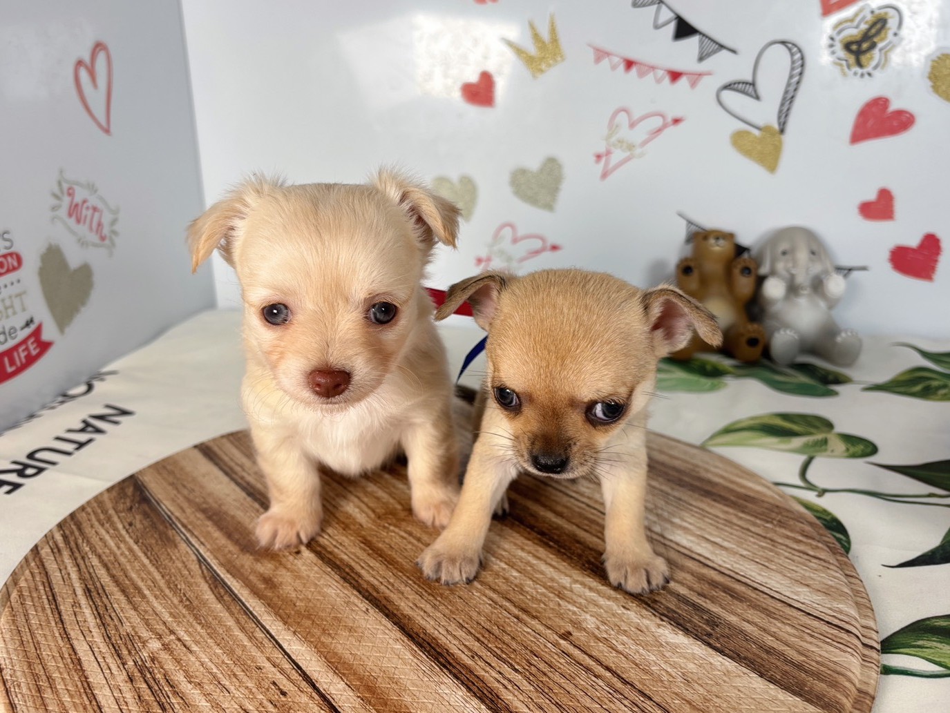 赤ちゃん写真2-3