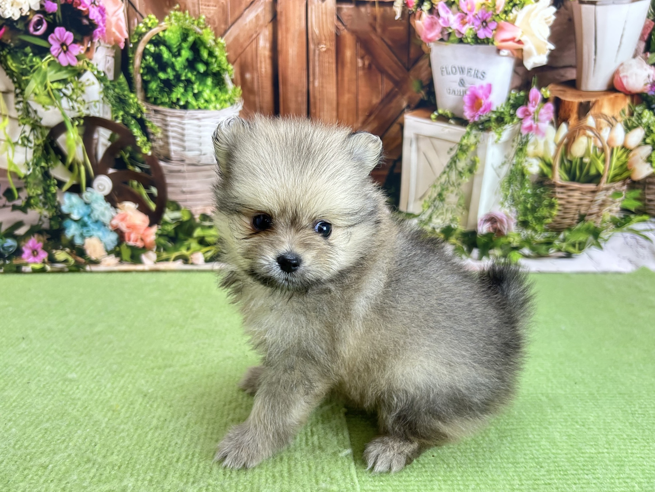 赤ちゃん写真2-2