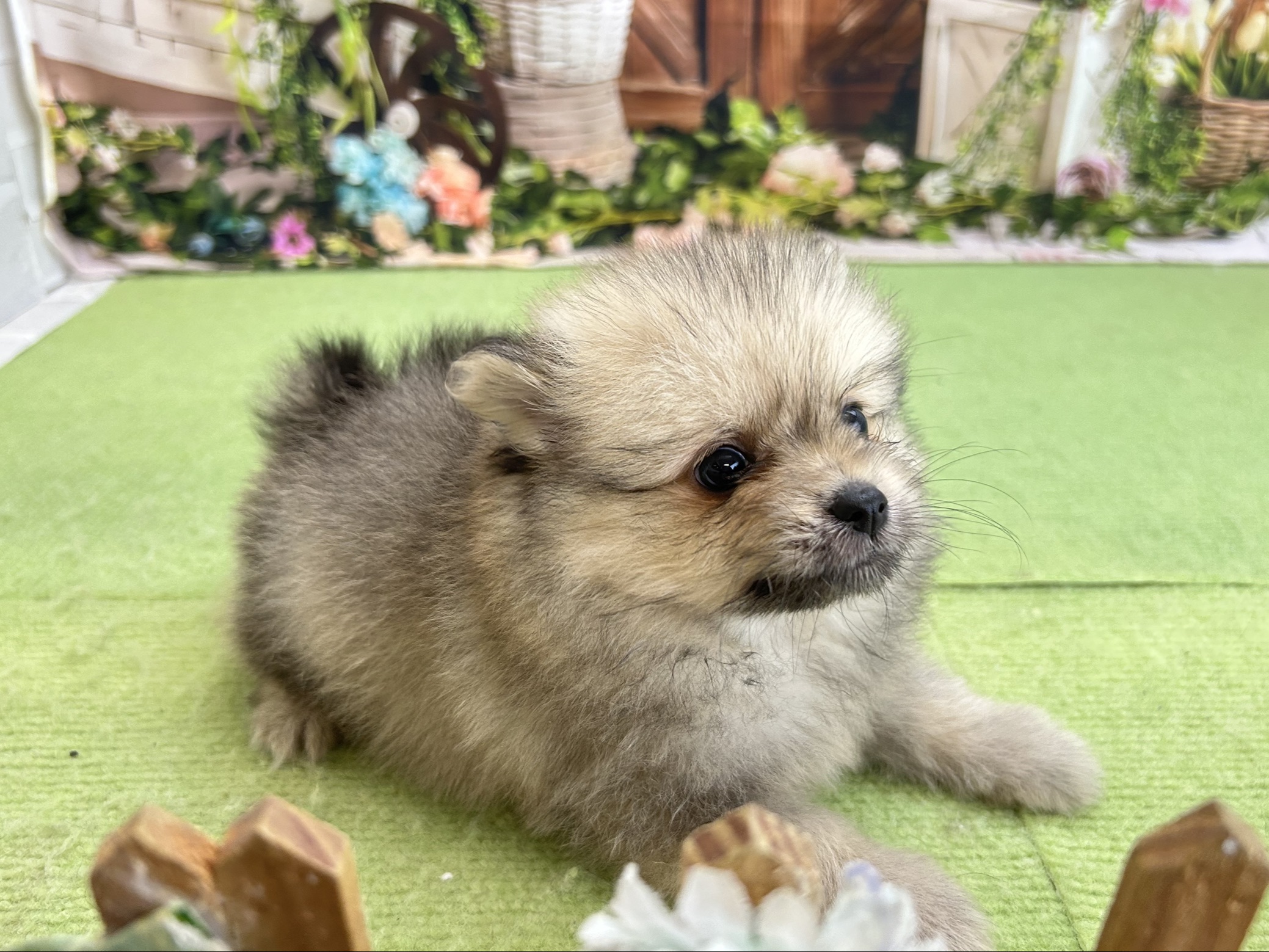 赤ちゃん写真3-2