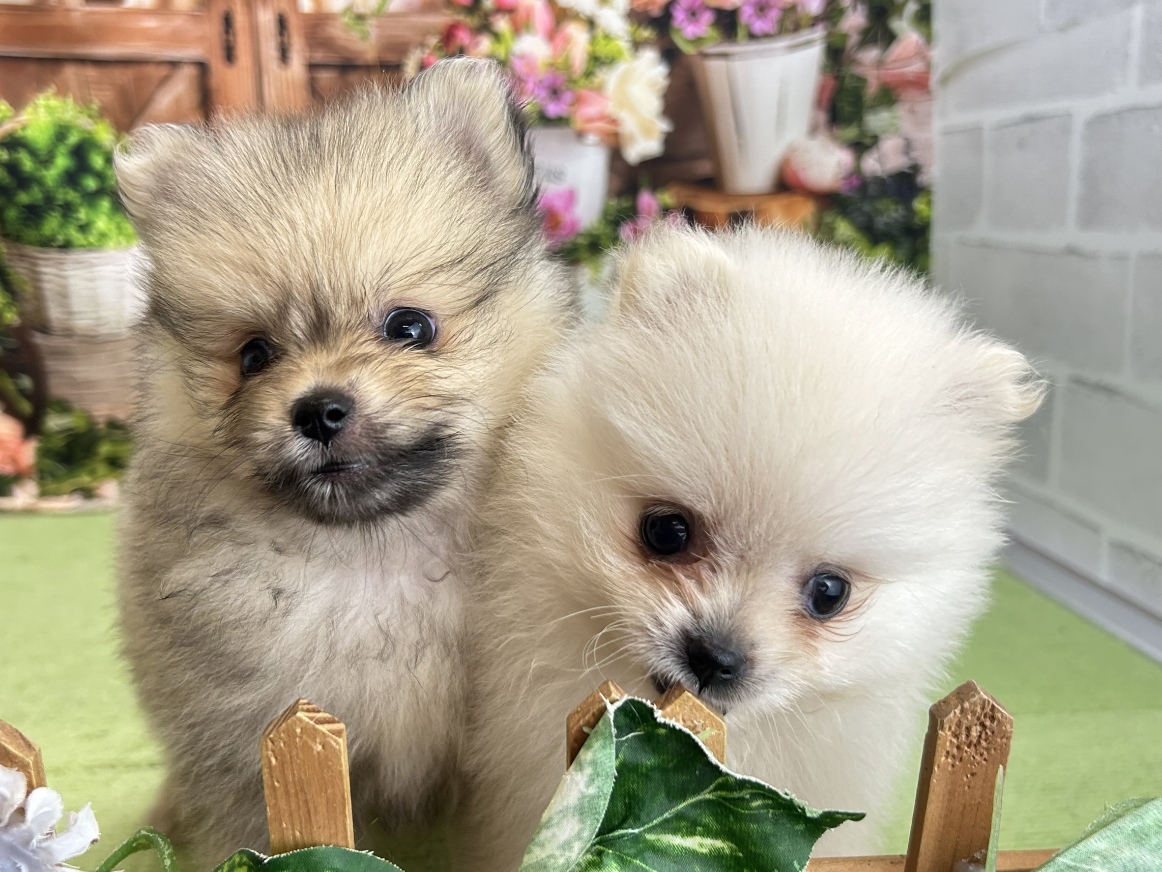 赤ちゃん写真3-3