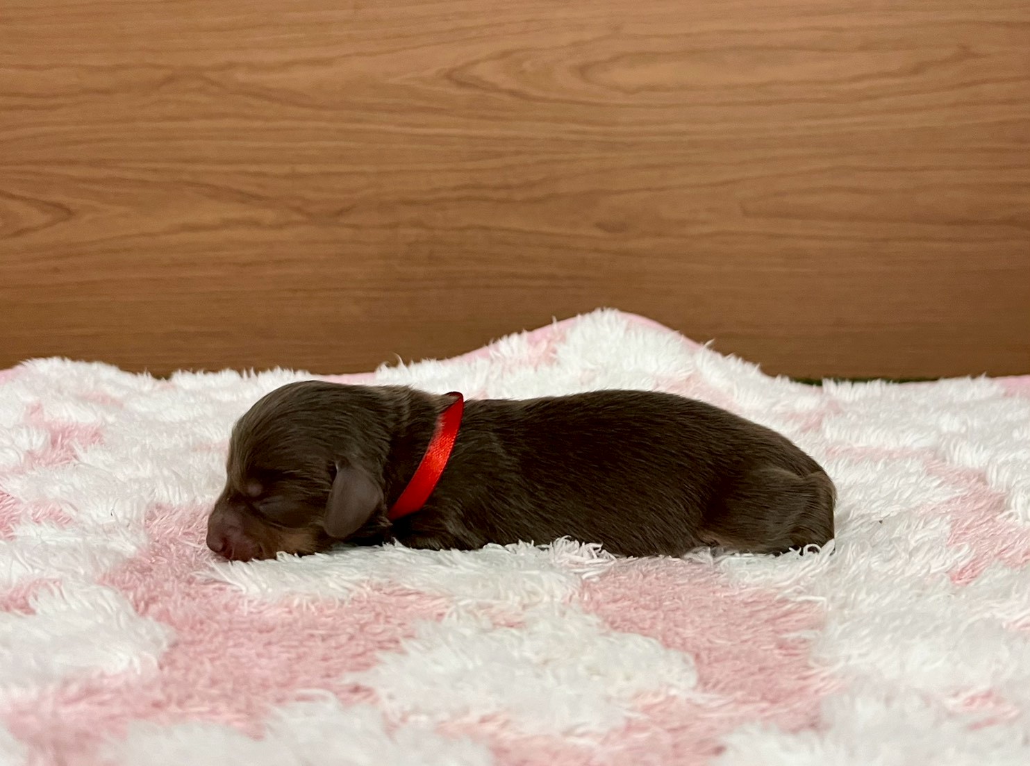 赤ちゃん写真1-2