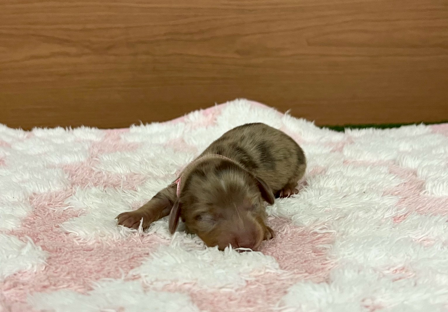 赤ちゃん写真1-1