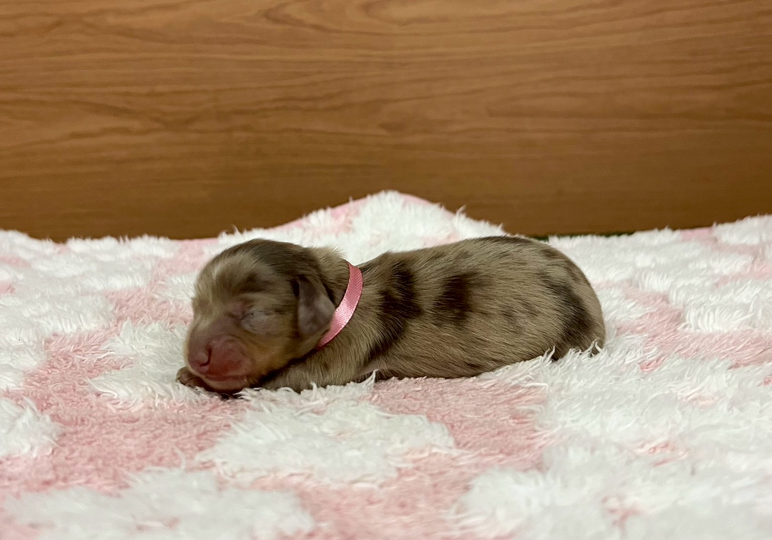 赤ちゃん写真1-2