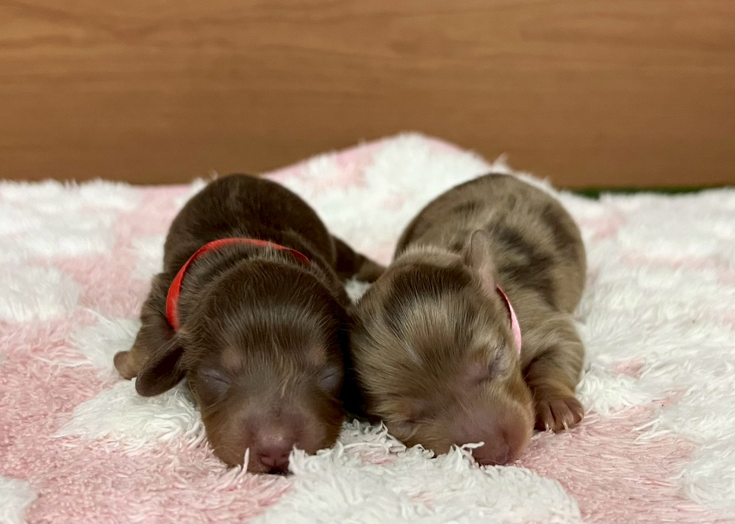 赤ちゃん写真1-3