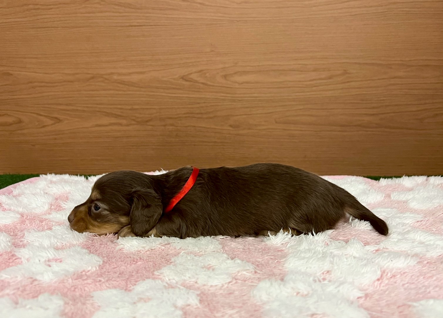 赤ちゃん写真2-2