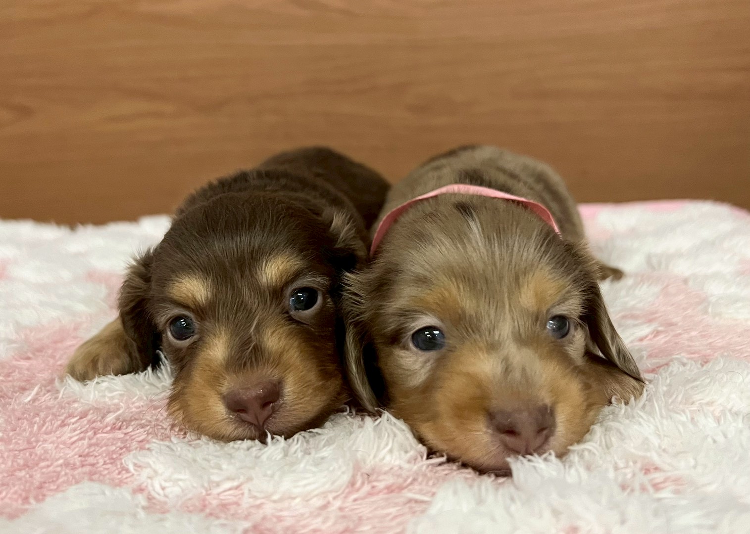 赤ちゃん写真2-3