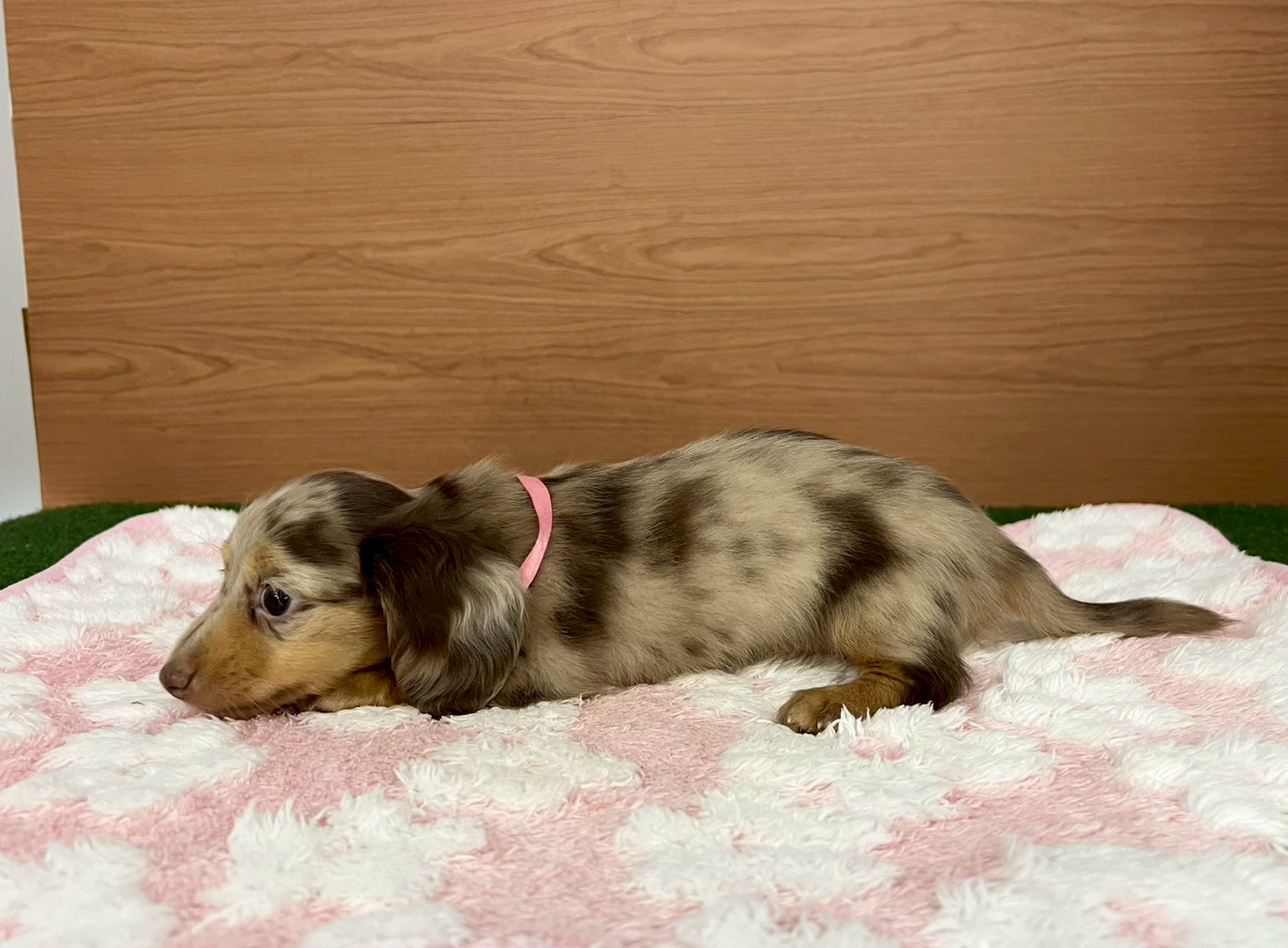 赤ちゃん写真3-2