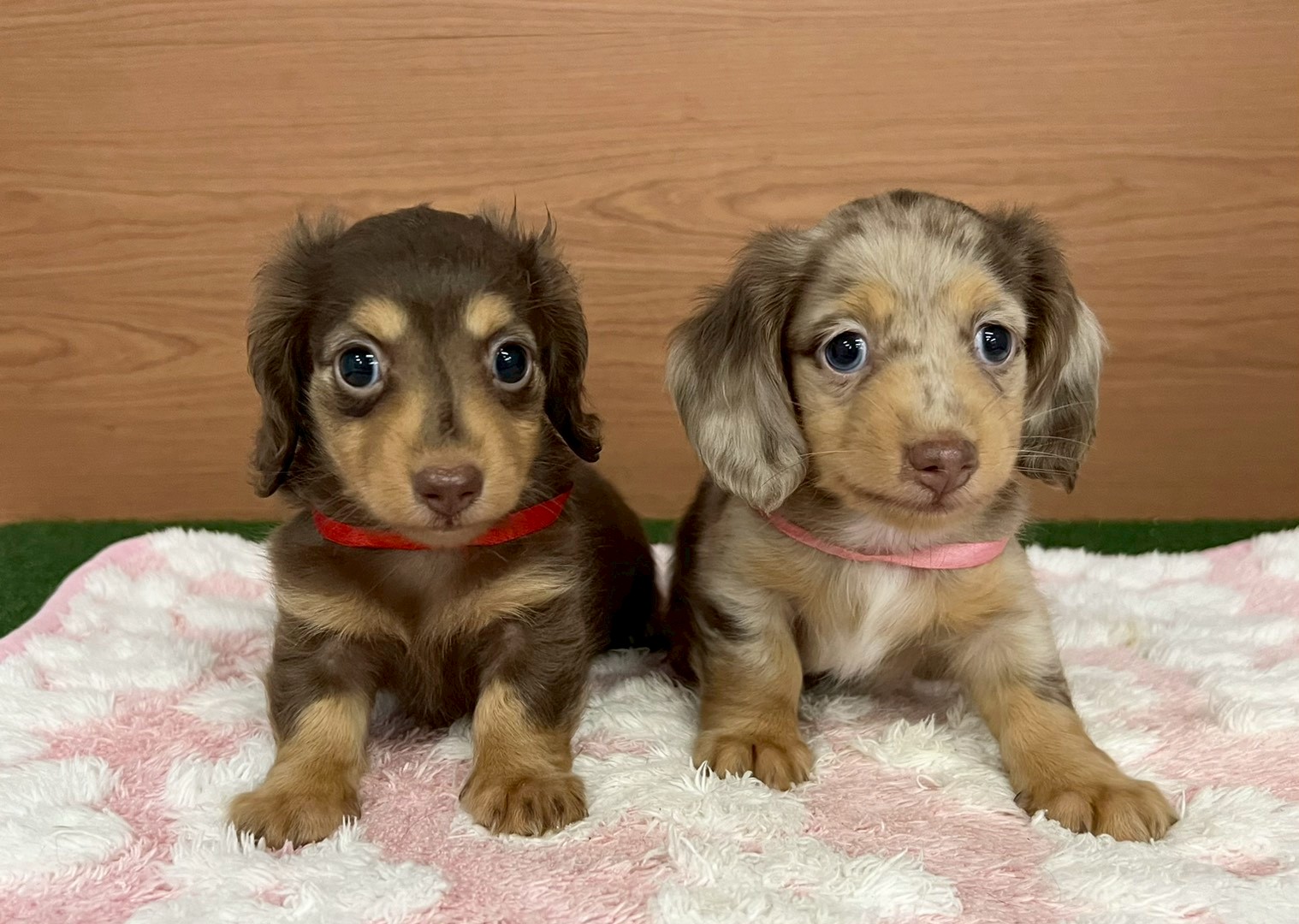 赤ちゃん写真3-3