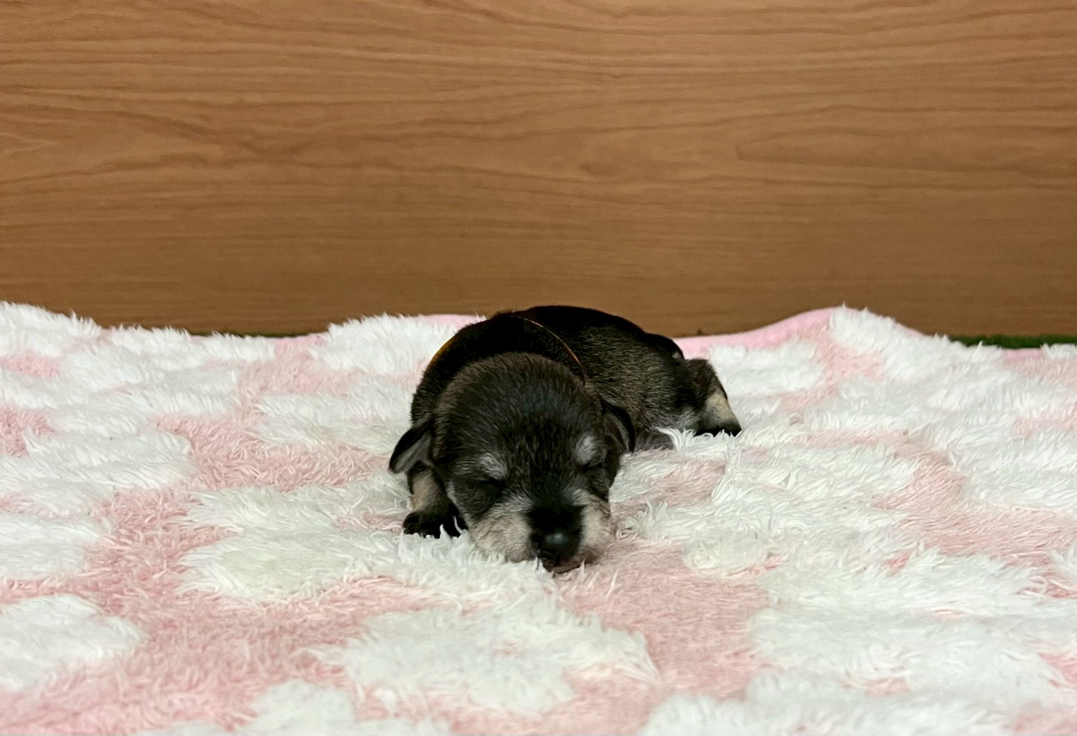 赤ちゃん写真1-1