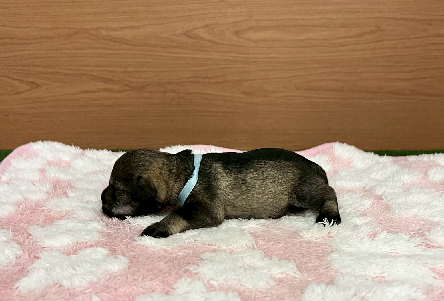 赤ちゃん写真1-2