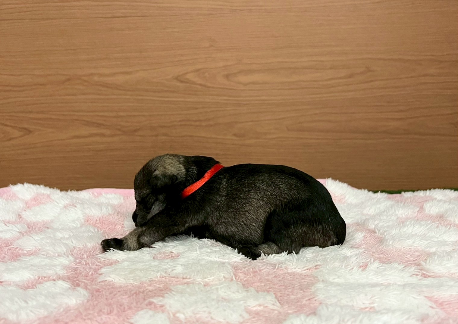赤ちゃん写真1-2