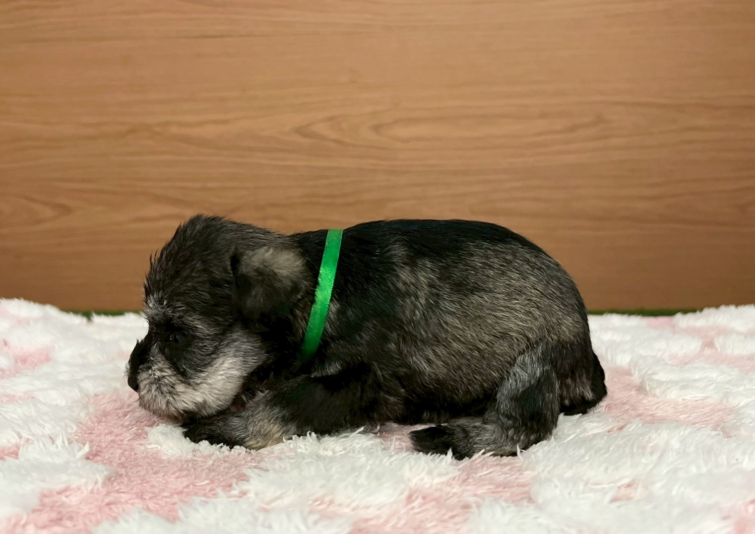 赤ちゃん写真2-2