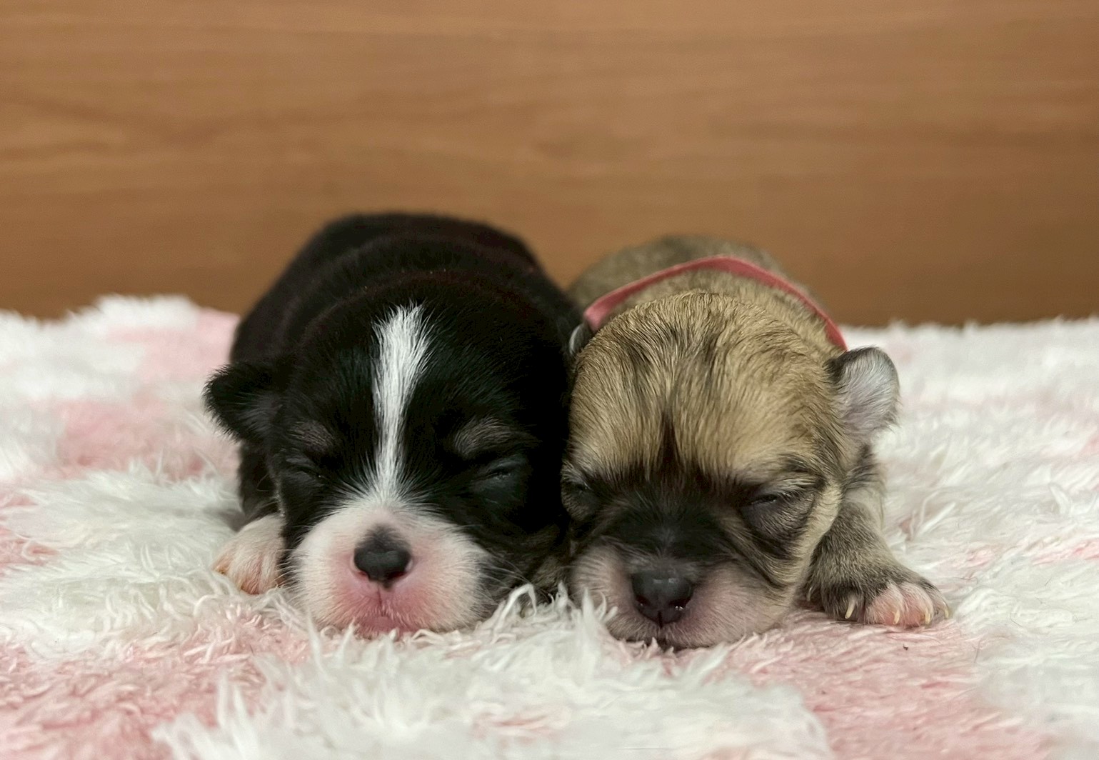 赤ちゃん写真1-3