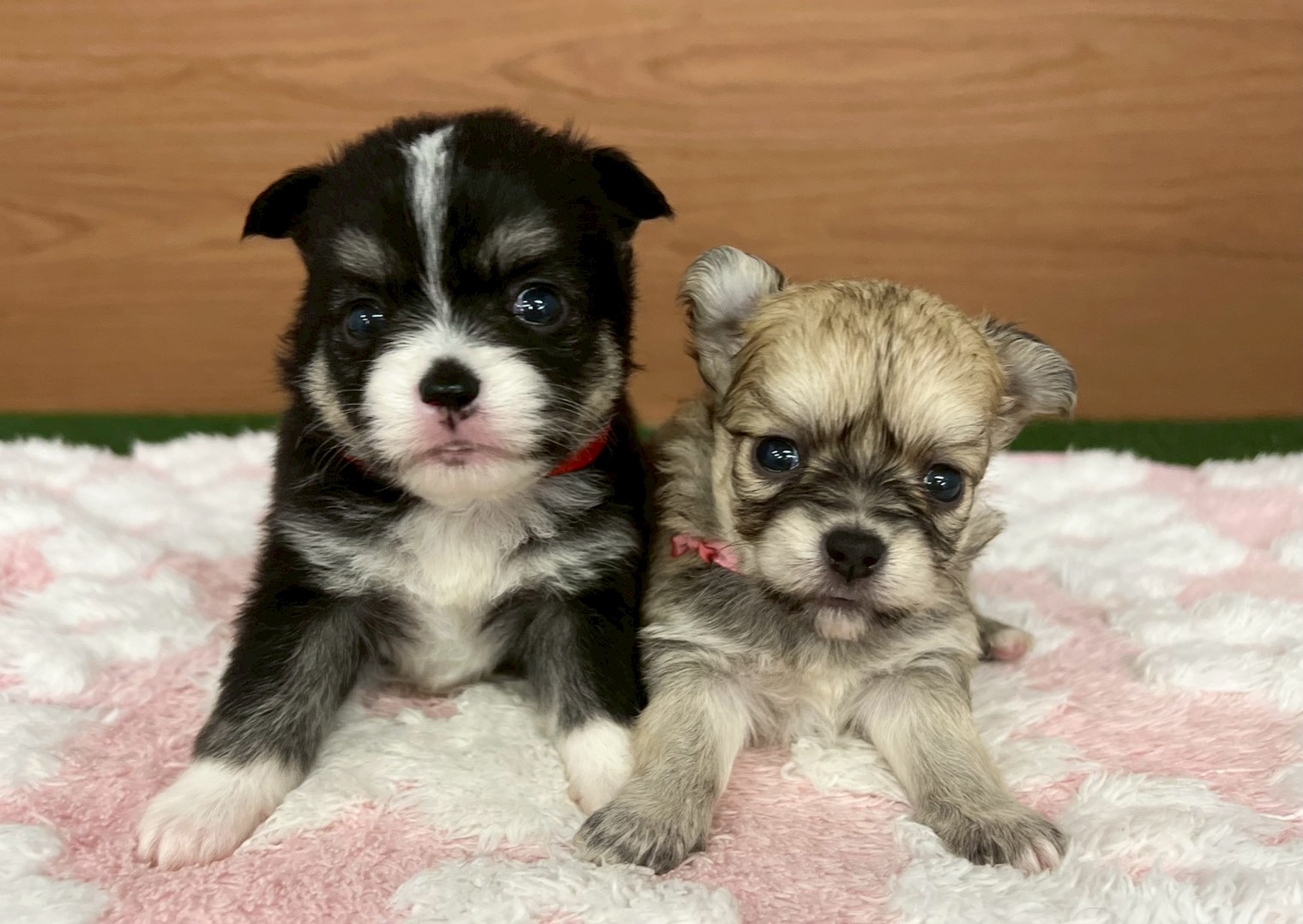 赤ちゃん写真2-3