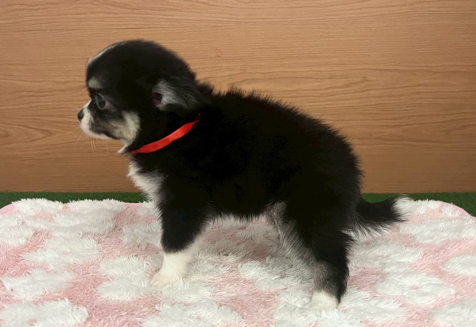 赤ちゃん写真3-2
