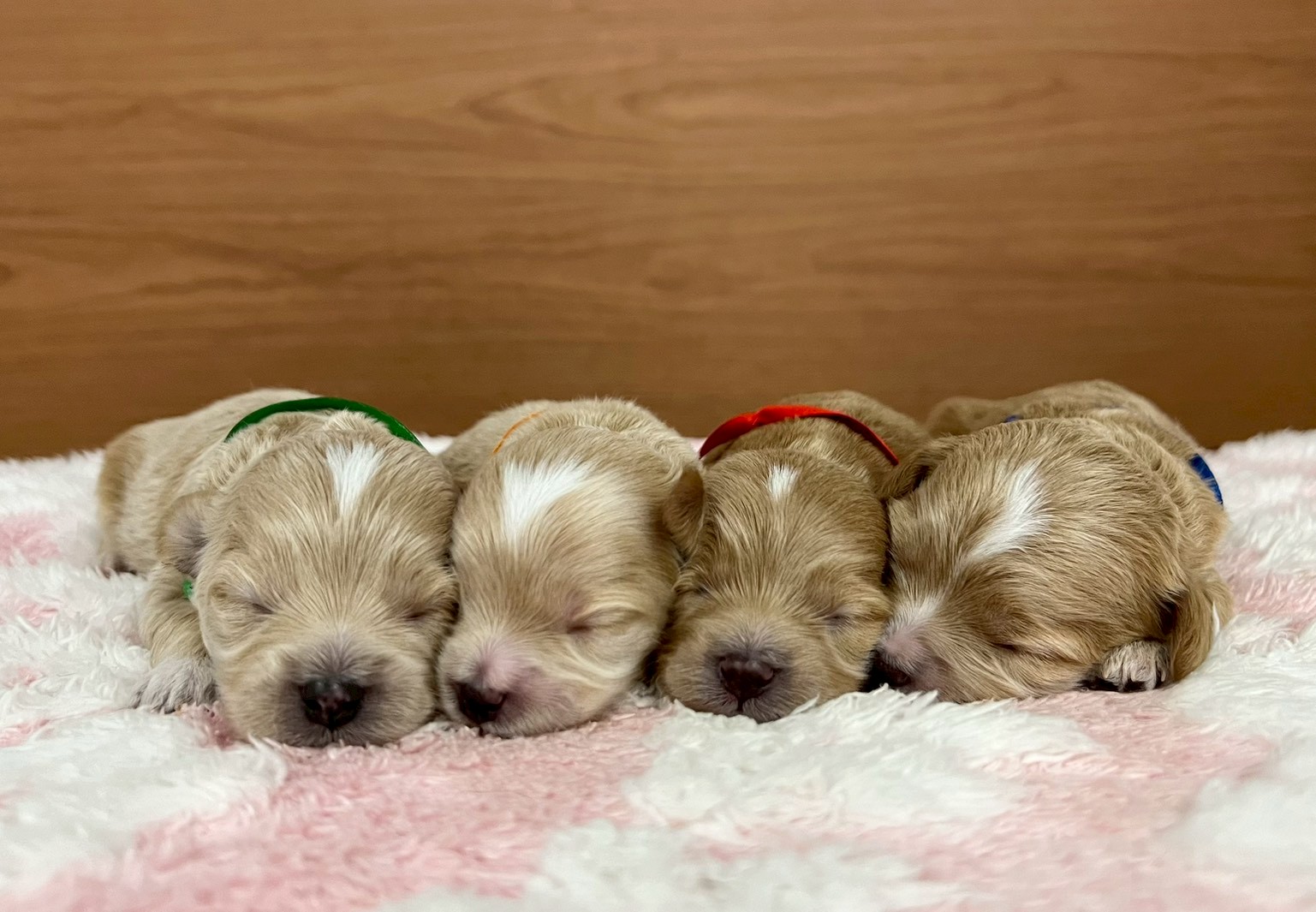 赤ちゃん写真1-3