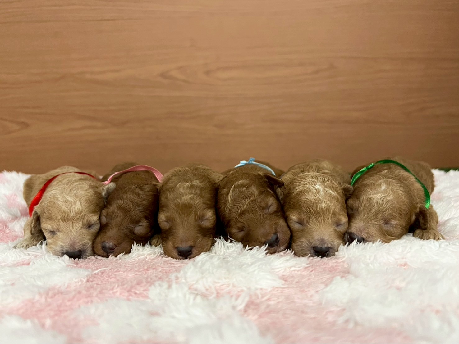 赤ちゃん写真1-3