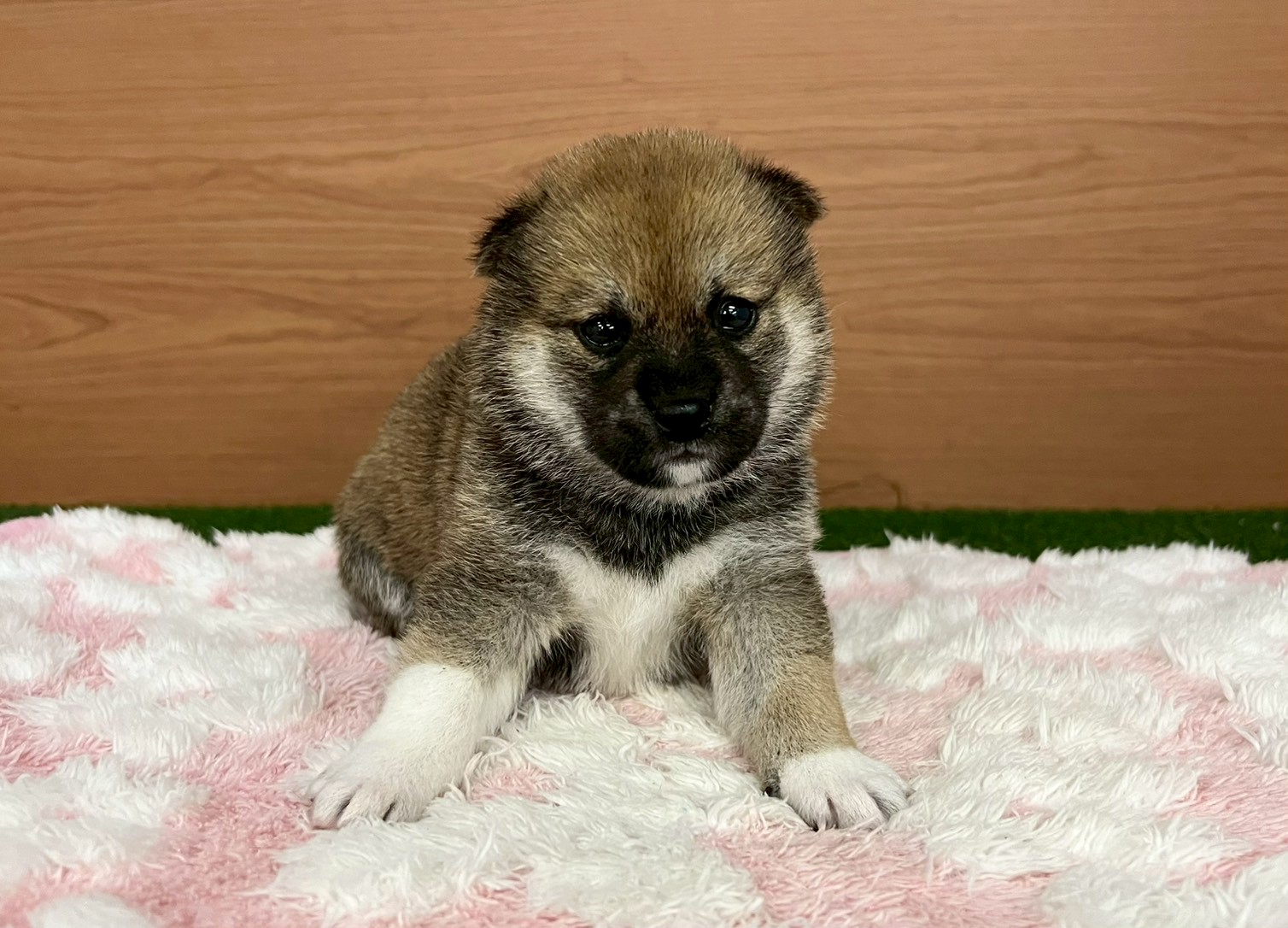赤ちゃん写真2-1