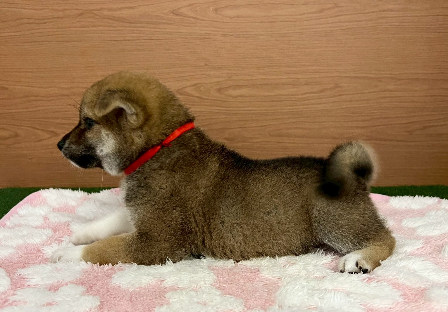 赤ちゃん写真3-2