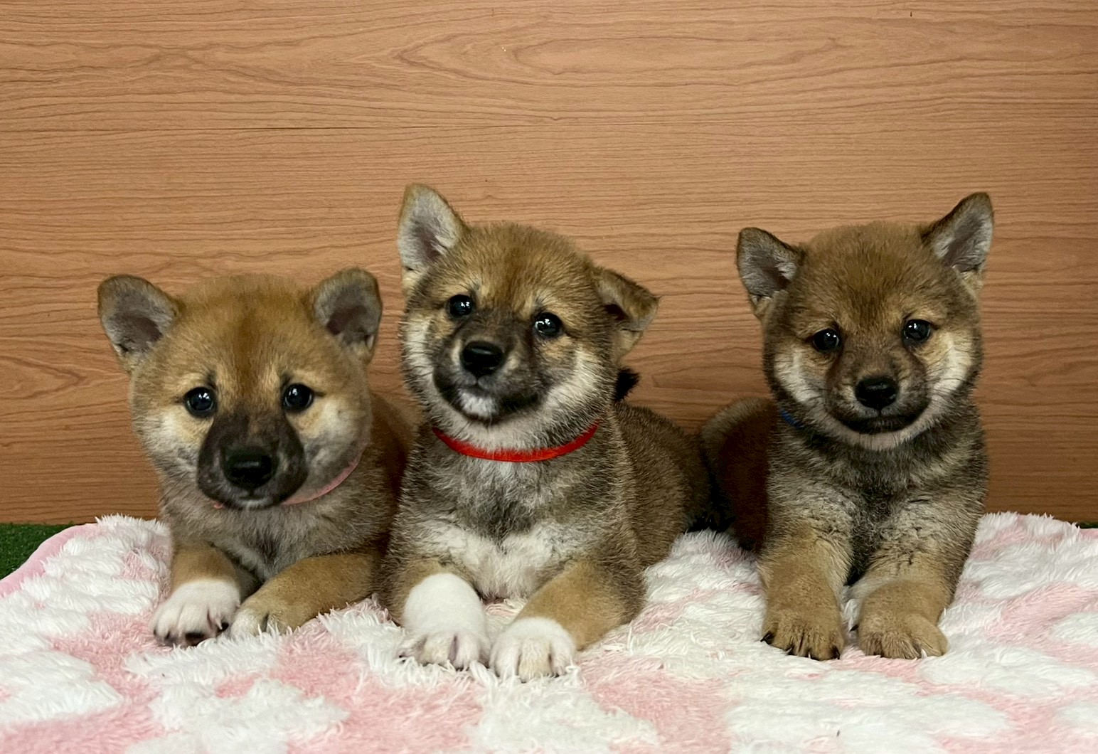 赤ちゃん写真3-3