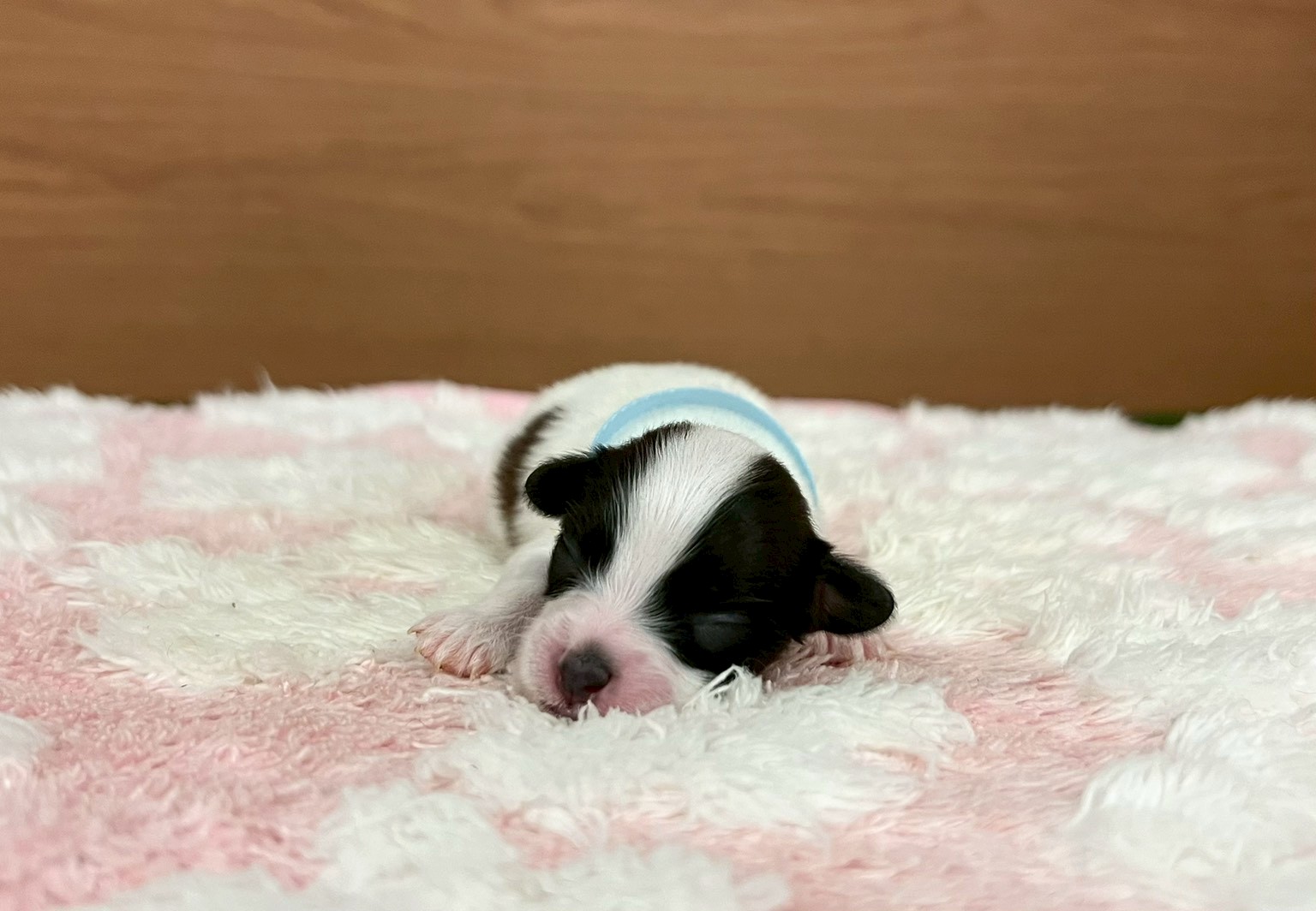 赤ちゃん写真1-1